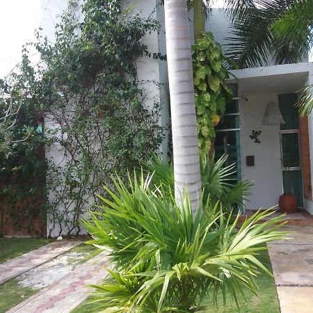 casa rioja PLAYACAR Bed & Breakfast Playa del Carmen Dış mekan fotoğraf
