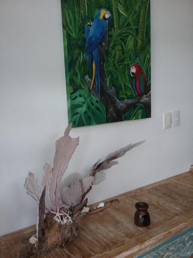 casa rioja PLAYACAR Bed & Breakfast Playa del Carmen Dış mekan fotoğraf