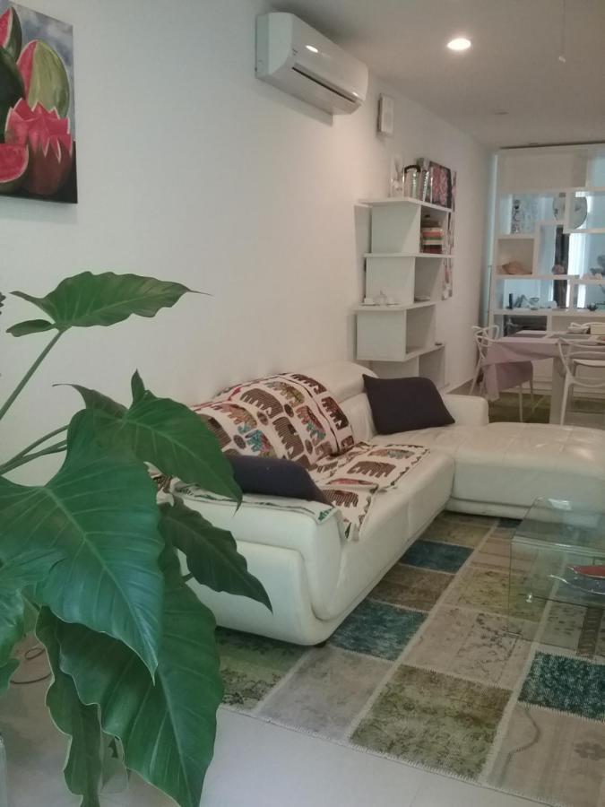 casa rioja PLAYACAR Bed & Breakfast Playa del Carmen Dış mekan fotoğraf