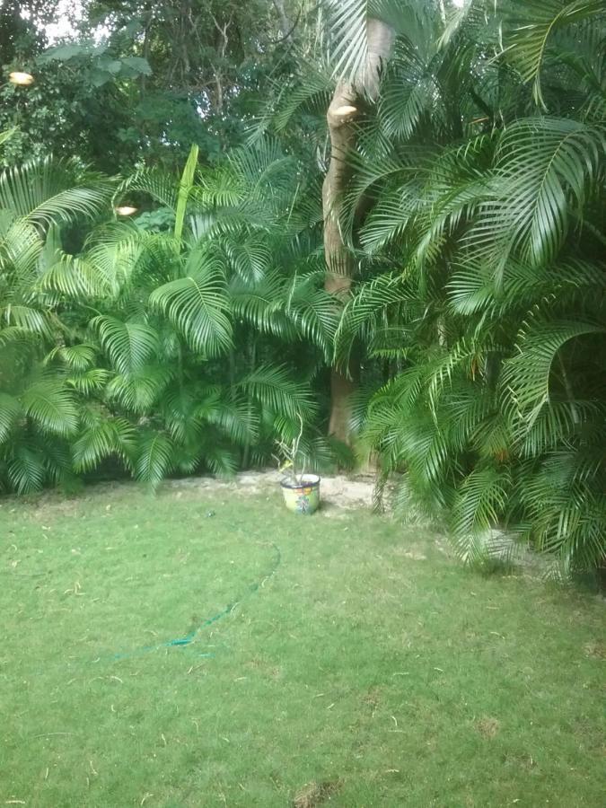 casa rioja PLAYACAR Bed & Breakfast Playa del Carmen Dış mekan fotoğraf